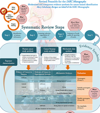 The Preamble to the IARC Monographs was most recently revised in 2019